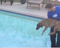 When he walks his dog into the empty swimming pool… too funny!
