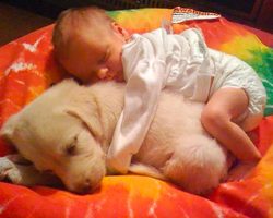 25 adorable photos that prove every kid should grow up with a dog