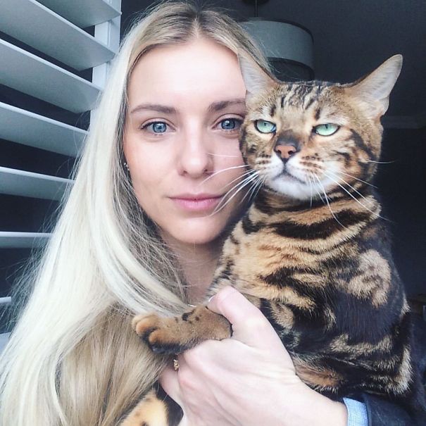 My Sister's Cat Is Not In The Mood For A Selfie My Sister's Cat Is Not In The Mood For A Selfie