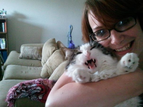 My Cat Hates Me My Cat Hates Me