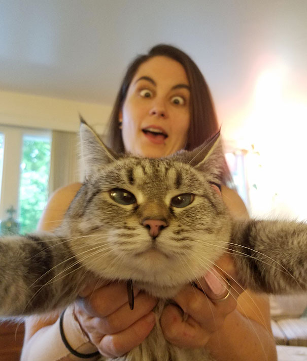 Taking A Selfie With My Derpface Human Taking A Selfie With My Derpface Human