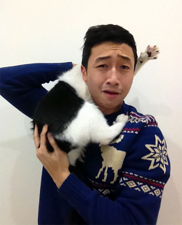 Trying To Take X-Mas Eve Pics With The Cat Trying To Take X-Mas Eve Pics With The Cat