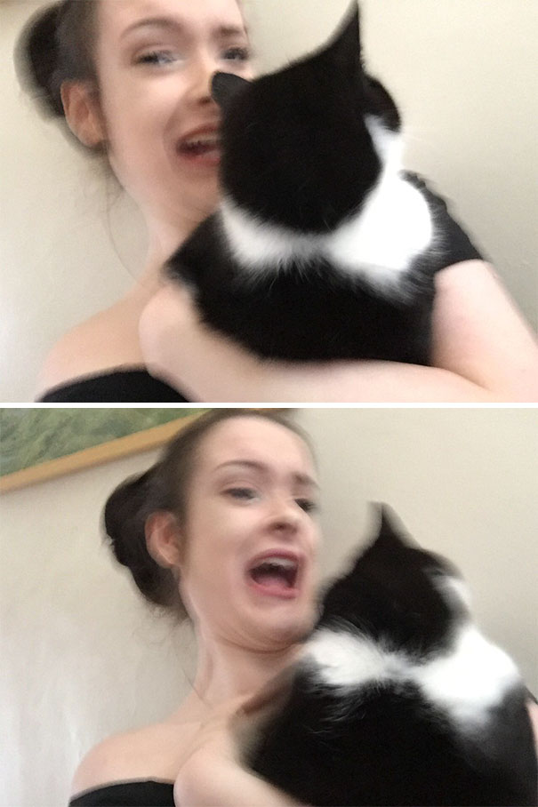 I Tried To Take A Selfie With My Cat And I Tried To Take A Selfie With My Cat And