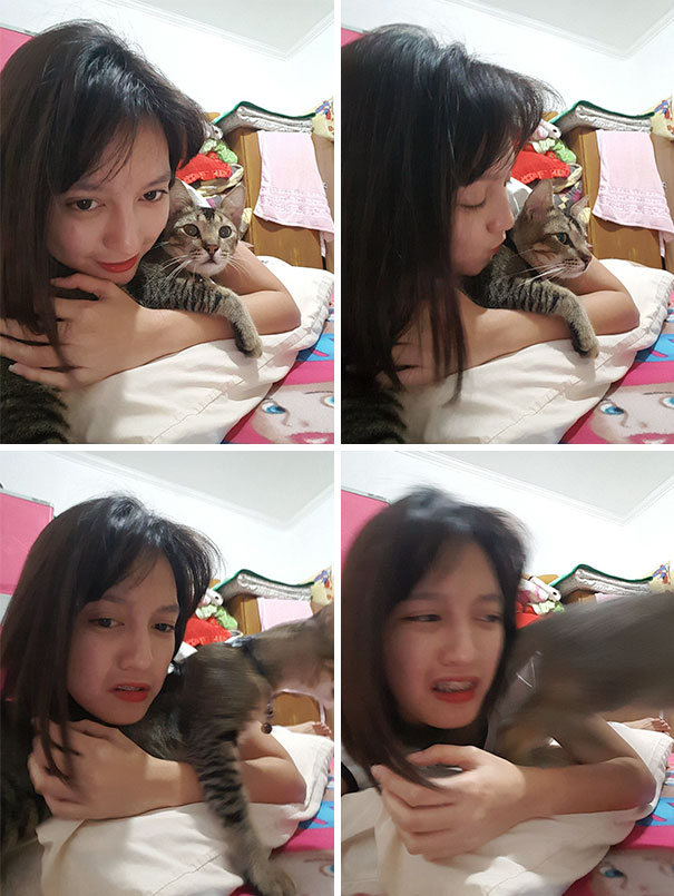 Trying To Get A Selfie With My Cat Trying To Get A Selfie With My Cat
