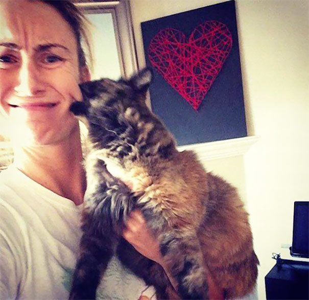 Even Cats Hate Selfies Even Cats Hate Selfies