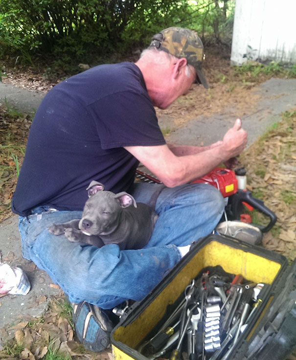 My Dad Makes A Big Deal About How Much He Hates Dogs...but I Always Seem To Catch Him Being Adorable With His Grandpups My Dad Makes A Big Deal About How Much He Hates Dogs...but I Always Seem To Catch Him Being Adorable With His Grandpups