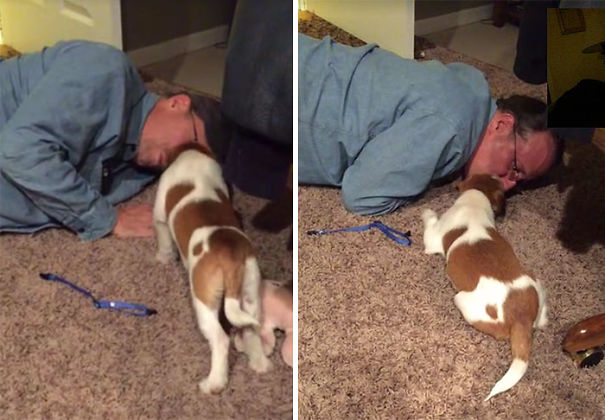 "I Don't Even Want A Dog." Ok Dad Sure "I Don't Even Want A Dog." Ok Dad Sure