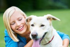 All About Lifetime Pet Insurance