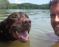 Dog Only has 6 Months to Live – So her Owner Takes Her on an Unforgettable Trip