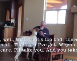Incredibly Emotional Moment Captured Between Dog & Man With Alzheimer’s