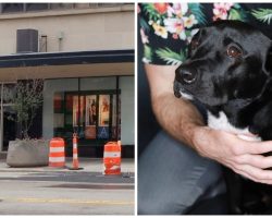 He Acted Like He Loved His Dog At The Vet Visit, But Became A Monster Outside