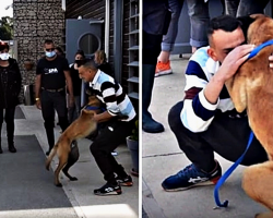 Owner Travels 310 Miles To Reunite With His Stolen Dog