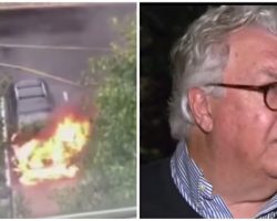 Man Finds Three Dogs Trapped Inside Burning Car, Risks Life To Save Them Before Explosion
