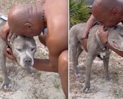 Man In Tears When He Reunites With Dog He Gave Up 10 Years Earlier