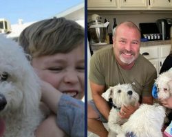 Minion, senior dog who reunited with family after 12 years, has died — rest in peace