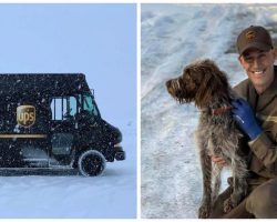 UPS driver braves icy cold waters to rescue a drowning dog