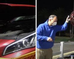They Pop Open The Hood To See The Little One In The Engine