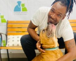 Dog ended up in the shelter after his owner died — familiar face travels thousands of miles to get him