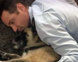 David Duchovny announces death of beloved rescue dog Brick: shares beautiful poem as tribute