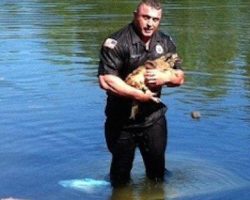 Dog Trapped In A Submerged Truck Had No Hope Of Escape Until A Heroic Officer Dives Underwater