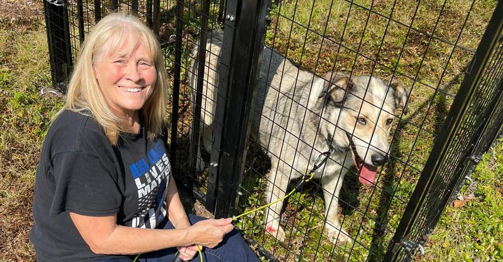 Couple spent over a year gaining missing dog’s trust — now they’ve finally brought him home