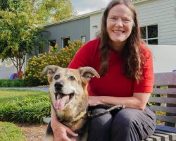 12-year-old shelter dog with dementia struggled to find a home — then familiar face steps in