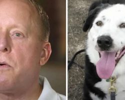 Man’s Told He Has 5-Years To Live, So He Goes To Shelter And Asks For An ‘Obese, Middle-Aged Dog’