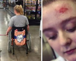 This Is Why You Should Never Pet A Service Dog