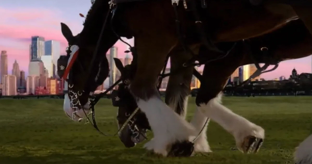 This 9/11 Commercial That Disappeared For Many Years, Will Give You Enough Feels To Last A Lifetime