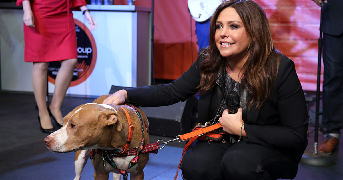 Rachael Ray defends choice to not have children, says she prefers her dogs — here’s why