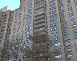 Man arrested after throwing pit bull from 14-story balcony, charged with animal cruelty