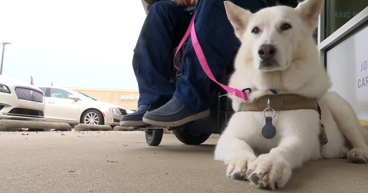 Disabled veteran denied service at bar over service dog — now he’s speaking out