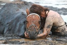 Woman holds trapped horse for hours – then a farmer shows what a real guardian angel looks like