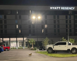 For Two Months, He Slept in a Hotel Parking Lot — Until Someone Finally Stepped In
