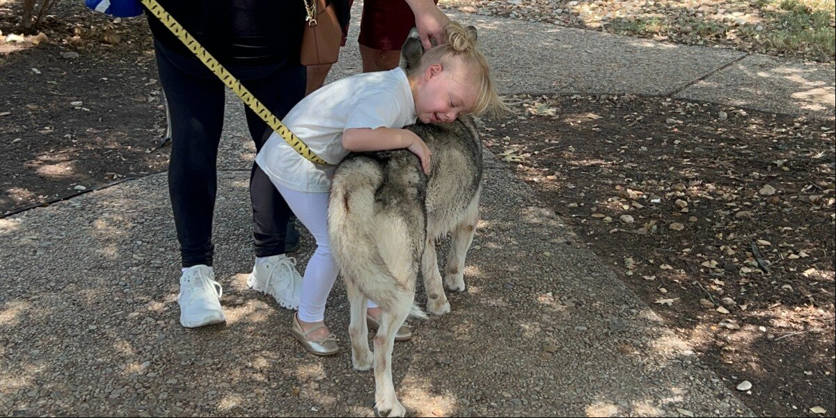 Husky Who Was Overlooked for Months Finally Finds His Forever Home — Thanks to a Little Girl