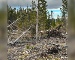 Hiker Hears a Cry on the Mountain — And Solves a 5-Week Mystery