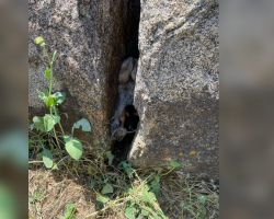 Construction Workers Spot a Face Between Boulders — and Immediately Call for Help