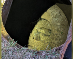 Neighbors Hear ‘Barking’ From Drain — And Discover A Baby In Desperate Need Of His Mom