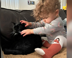 Blind Toddler and Her Devoted ‘Seeing-Eye Cat’ Are the Cutest Inseparable Duo