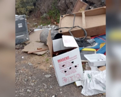 Rescuer Peeks Inside Cardboard Box And Finds 8 Tiny Puppies Clinging to Life
