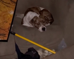 Rescuers Enter Abandoned House — And See a Familiar Face Staring Back