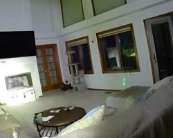 Colorado Cops Try Hilariously Creative Trick to Evict a Bobcat From Woman’s Home