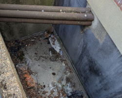 Nurses Stunned to Find Shivering Visitor at the Bottom of Hospital Drain
