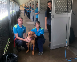 Every Dog Was Adopted — Except One