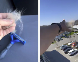 Man Tosses Dog Fur Off His Balcony — Then Nature Puts On A Show