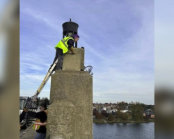 Rescuers Watch Helplessly As Animal Falls From Bridge — Then See The Unbelievable