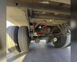 Truck Driver Hears a Cry Beneath His Rig — And Gains an Unexpected Best Friend