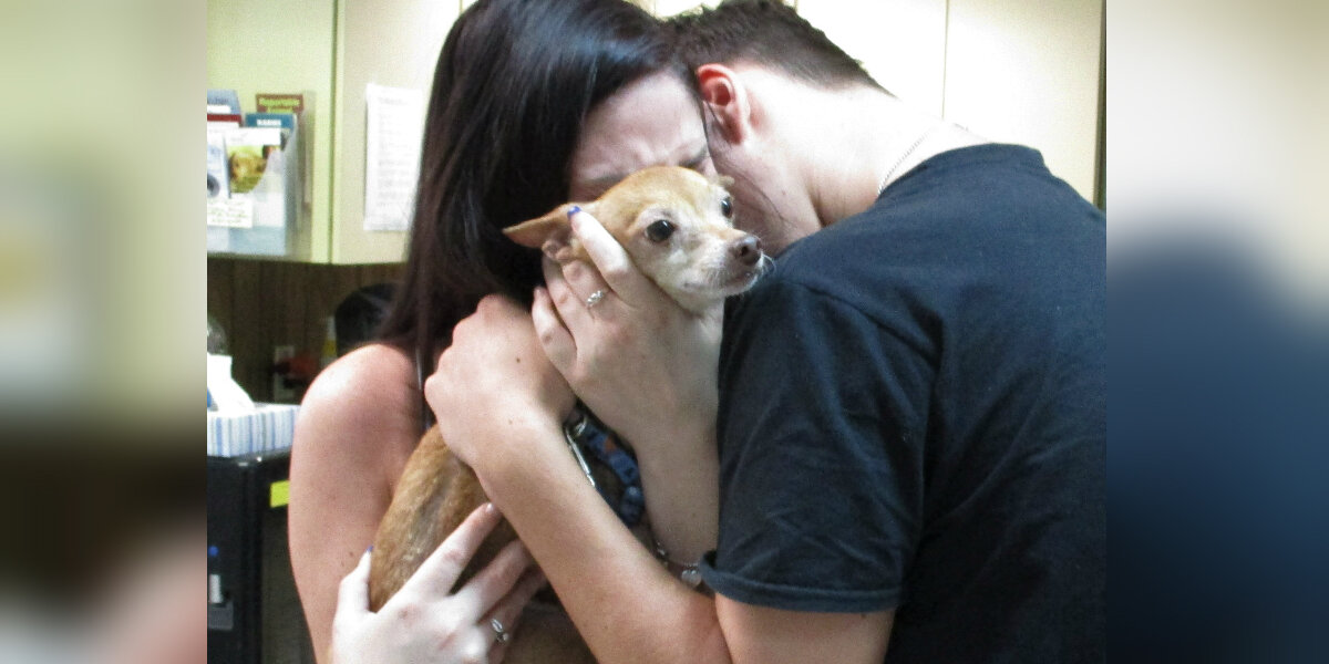 Dog Missing For 6 Years Runs Straight Into His Family’s Arms