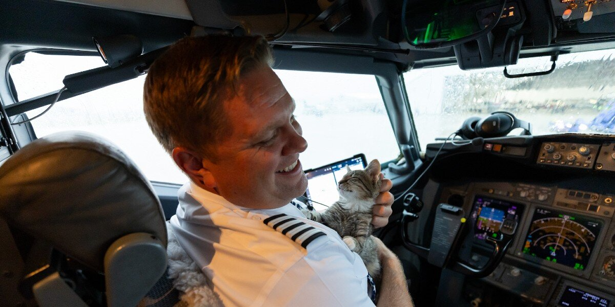 Airline Pilot Adopts Homeless Kitten Mid-Flight