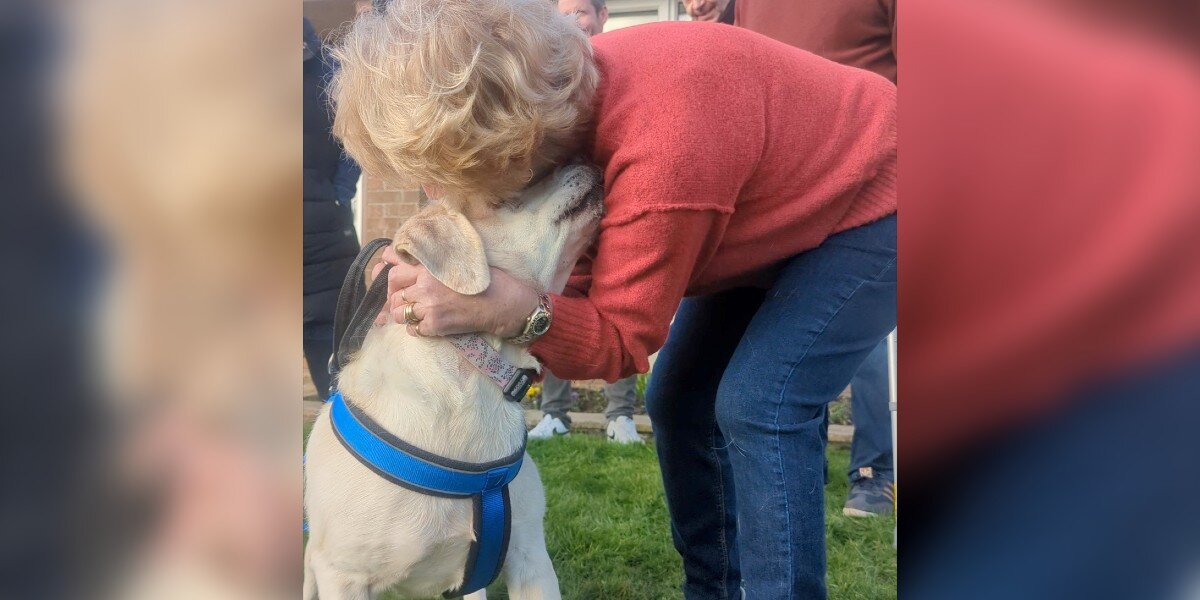 Dog Stolen From Her Yard Reunites With Family After 8 Long Years